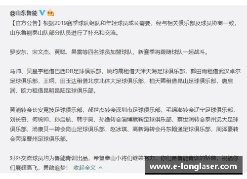 鲁能2015球员名单及转会动态