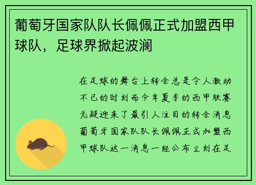 葡萄牙国家队队长佩佩正式加盟西甲球队，足球界掀起波澜